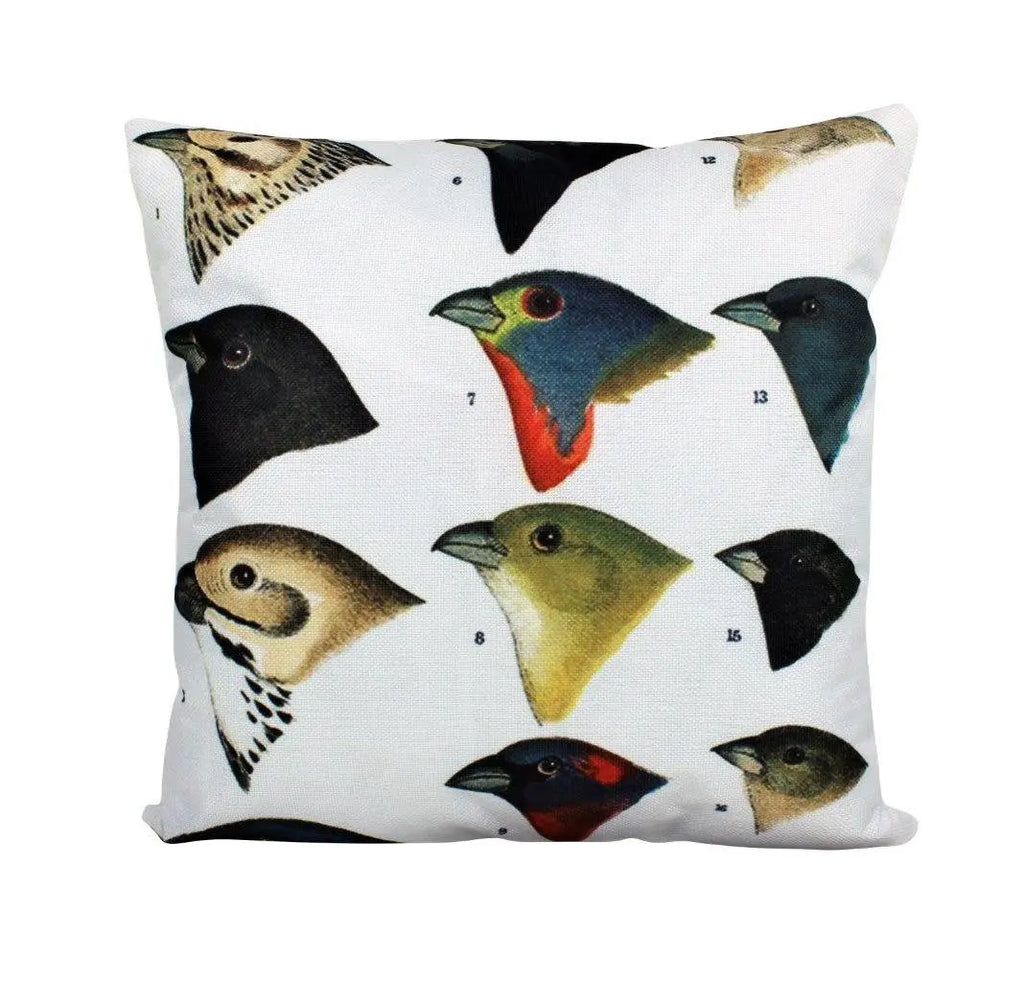 Birds | Birds of Paradise | Love Birds | Bird Decor | Pillow Cover | Designer Pillows | Aesthetic Room Decor | Home Decor | Bird Lover UniikPillows