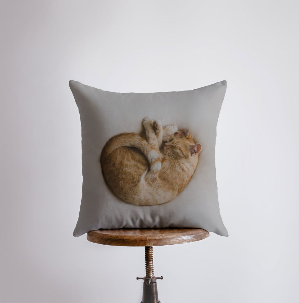 a pillow with a picture of two cats on it