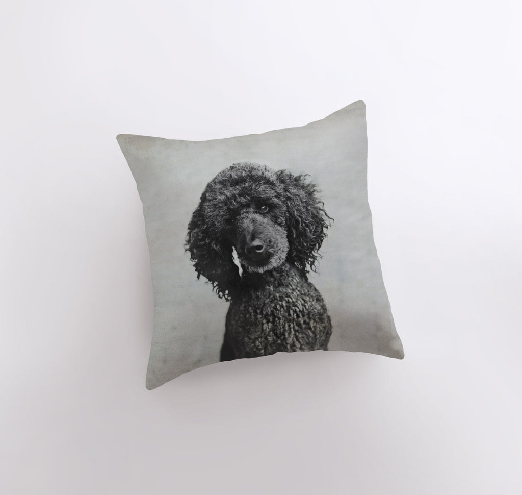 a black poodle sitting on top of a pillow