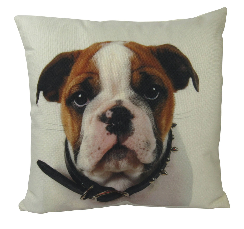 Bull Dog | Throw Pillows | Bull Dog Pillow | Bulldog Pillow Case | Bulldog Pillow | Home Décor | Room Decor | Couch Pillows | Custom Pillows UniikPillows