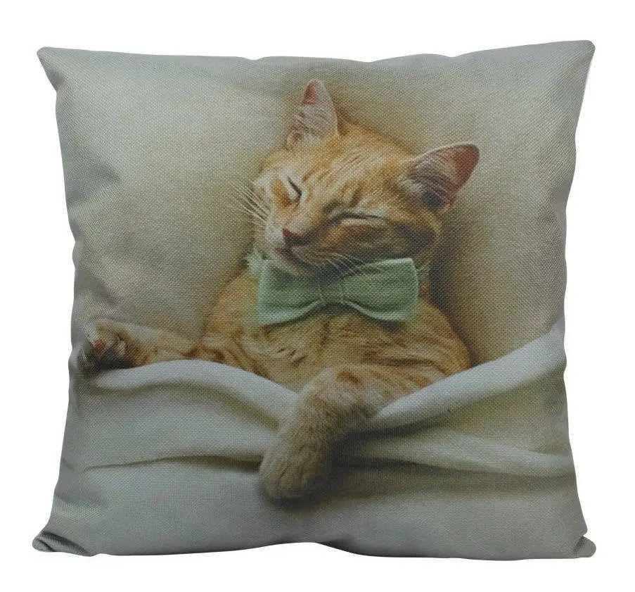 Cat |  Cat Paw | Cat Pillow | Cute Cat | Cat Gifts | Cat Decor | Cat Photo | Gifts for Cat Lovers | Accent pillow | Throw Pillow Covers UniikPillows