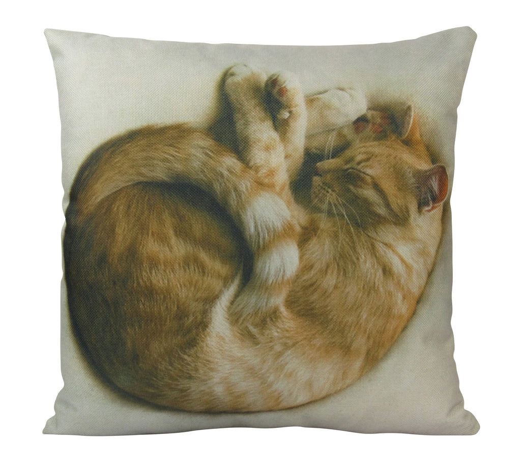 Cat |  Cat Sleeping Curled up | Cat Pillow | Cute Cat | Cat Gifts | Cat Decor | Cat Photo | Gifts for Cat Lovers | Throw Pillow Covers UniikPillows