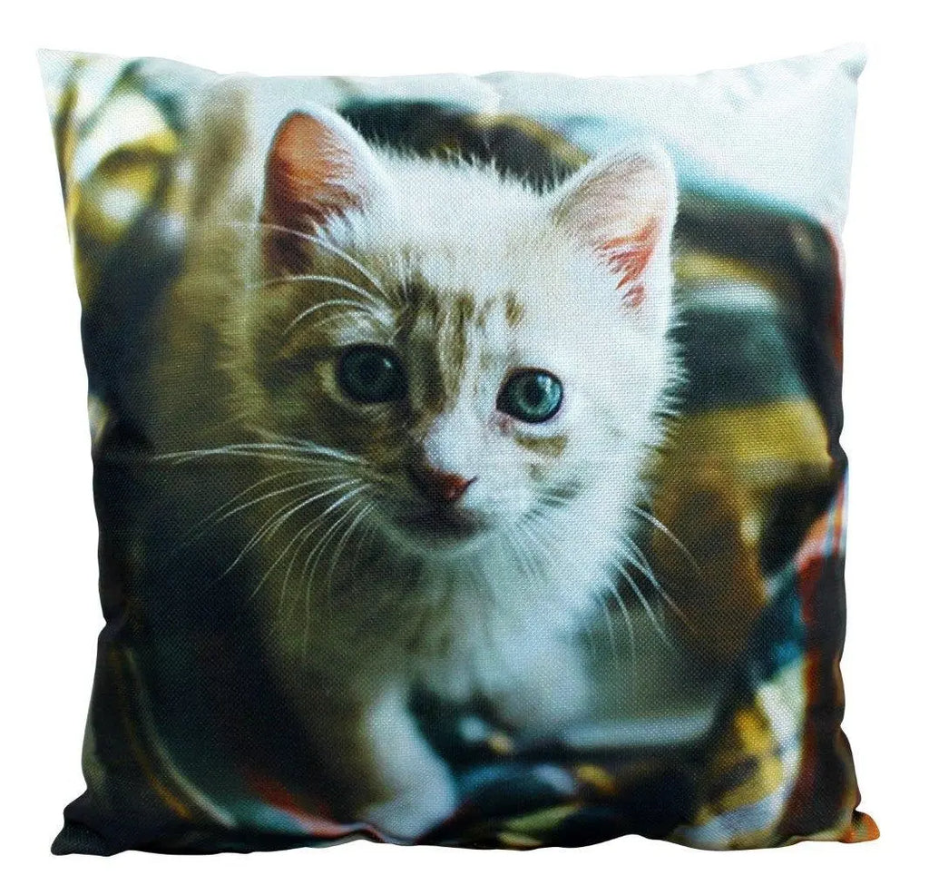 Cat | Cute Cat | Cat Pillow | Cat Gifts | Cat Decor | Cat Photo | Gifts for Cat Lovers | Accent pillow | Throw Pillow Covers UniikPillows