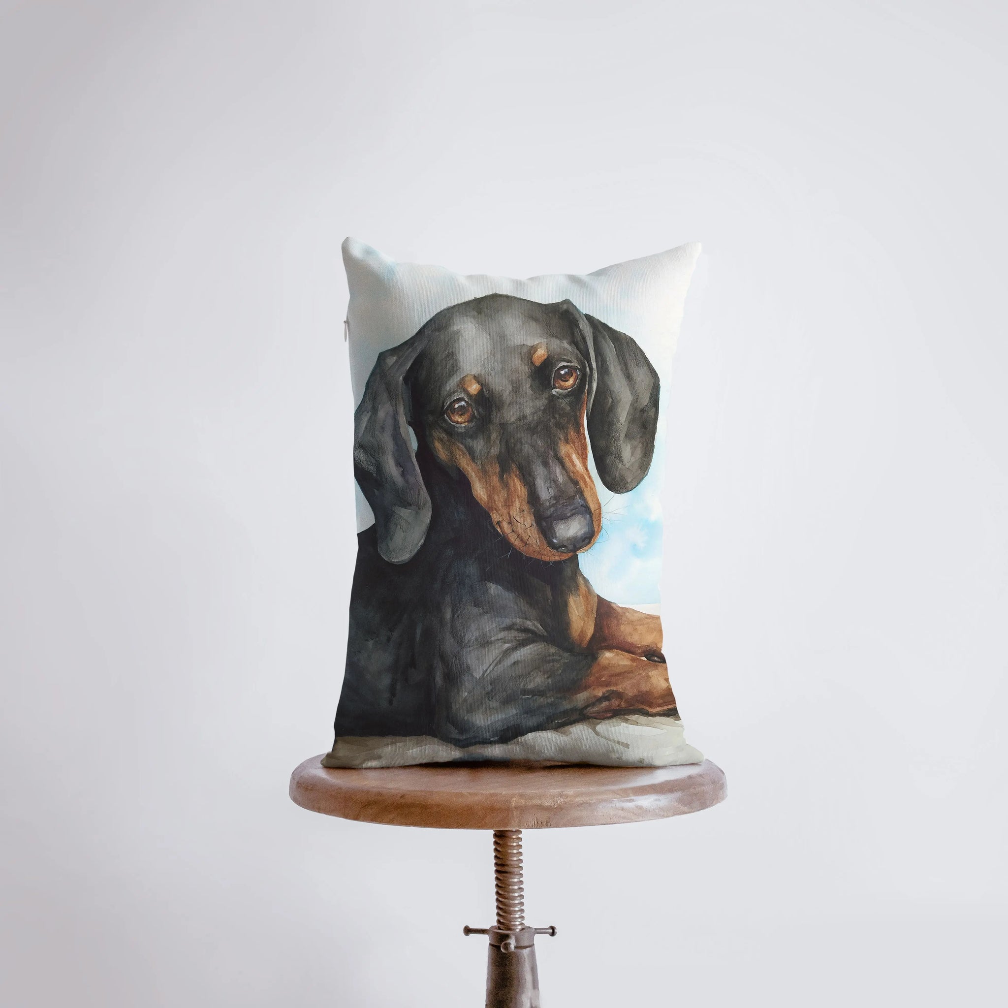 Dachshund pillow covers outlet