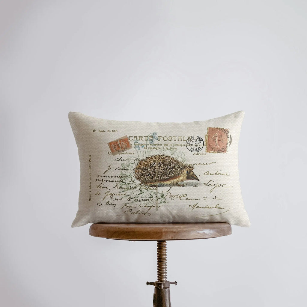 Hedgehog | Vintage | Pillow Cover | Throw Pillow | Animals | Cute Animals | Wild Animals | Decorative Throw Pillows | Room Decor | Gift - UniikPillows