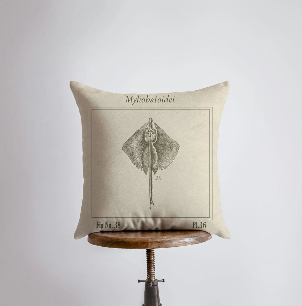 Vintage Ray | Pillow Cover | Throw Pillow | Home Decor | Journal Decor | Nautical Pillow | Ocean | Gift for her | Accent Pillow | Sea UniikPillows