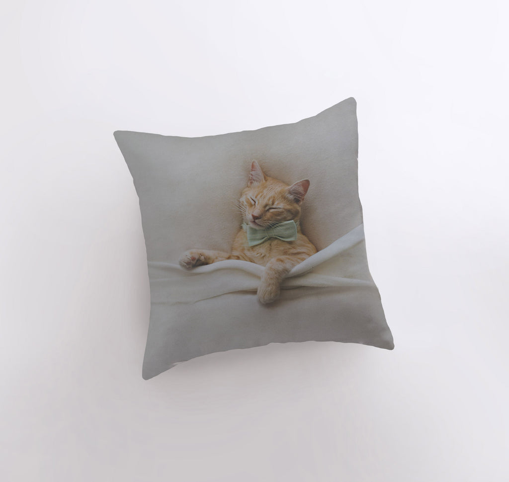 a cat is laying down on a pillow