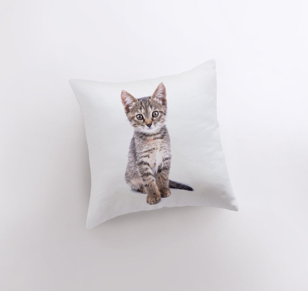 a small kitten sitting on top of a white pillow