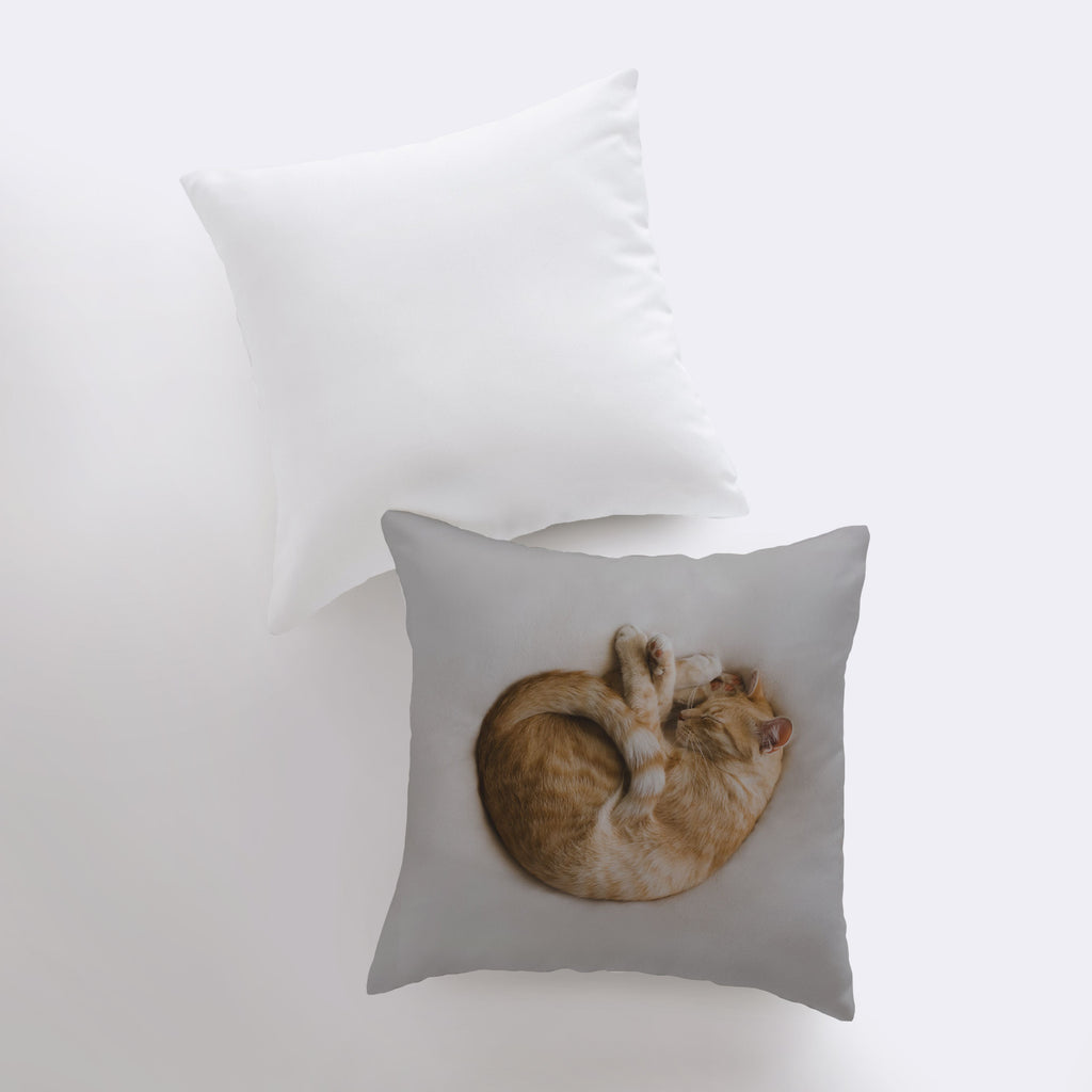 a couple of cats laying on top of a pillow