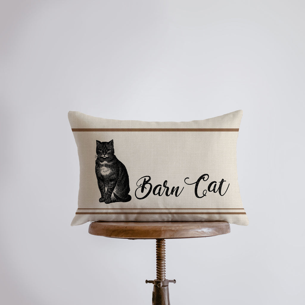 a black cat sitting on top of a pillow