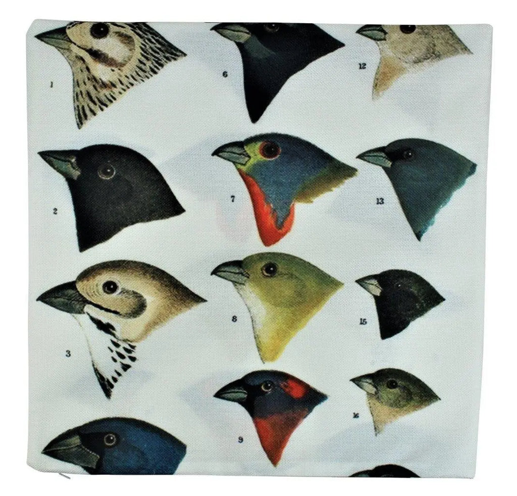 Birds | Birds of Paradise | Love Birds | Bird Decor | Pillow Cover | Designer Pillows | Aesthetic Room Decor | Home Decor | Bird Lover UniikPillows